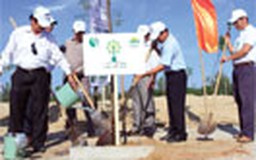 Quỹ 1 triệu cây xanh cho Việt Nam tới Hải Phòng