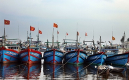 Hai tàu cá Quảng Nam cùng 62 lao động mất tích
