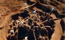 Khai quật "Vạn Lý Trường Thành" của loài kiến