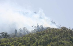 Vụ cháy rừng Vườn quốc gia Hoàng Liên: Có dấu hiệu lan rộng