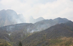 Cháy rừng lan nhanh sang khu vực Phan Xi Păng