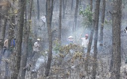 Đốt nhang, cháy rừng