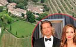 Brad Pitt và Angelina Jolie mai cưới?