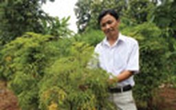 Người “cứu” vườn thuốc cho bệnh nhân AIDS