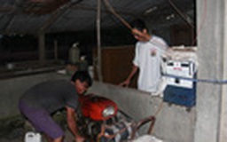 Xóm đèn dầu