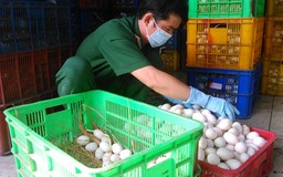 Bắt xe tải chở hơn 100.000 quả trứng không rõ nguồn gốc