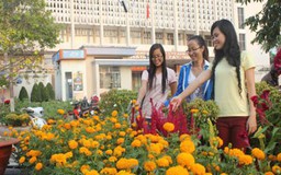 Tây Ninh: Tưng bừng chợ hoa xuân 2013
