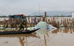 ĐBSCL ngày càng dễ bị tổn thương