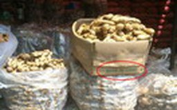 Tràn lan gừng Trung Quốc tại các chợ