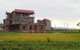 Xã thu tiền, cho dân xây nhà trên đất nông nghiệp
