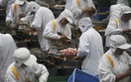 Trung Quốc xét xử công nhân bỏ độc chất vào bánh nhân thịt