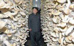 Báo Hàn Quốc: Ông Kim Jong-un ra giá phỏng vấn 1 triệu USD