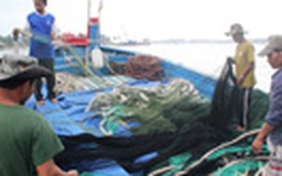 Quảng Nam thành lập thêm 2 nghiệp đoàn nghề cá