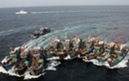 Hơn 9.000 tàu cá Trung Quốc sắp tràn xuống biển Đông
