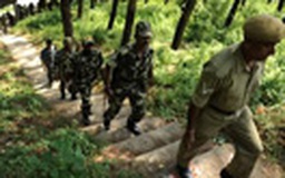 Lính Trung Quốc bị tố phá rừng do Ấn Độ quản lý