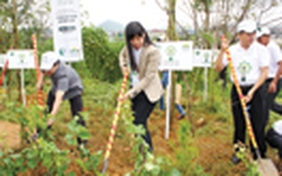 Quỹ 1 triệu cây xanh cho Việt Nam - Đóng góp cho Đà Lạt công viên hoa giấy đầu tiên