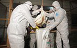 Lại có thêm người tử vong vì H7N9 ở Quảng Đông, Trung Quốc