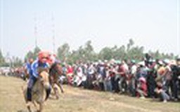 Khán giả bất tỉnh, kỵ sĩ bị thương tại hội đua ngựa Gò Thì Thùng