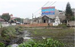 Đất ở đền bù bằng giá đất trồng cây