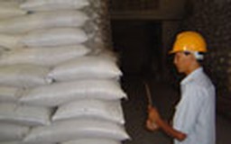 Xuất khẩu gạo chủ yếu sang Philippines