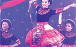 Băn khoăn vũ khúc Việt Nam
