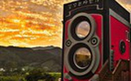 Quán cà phê độc