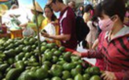 Lễ hội trái cây Nam bộ 2014: Sắc màu cây trái đất phương Nam
