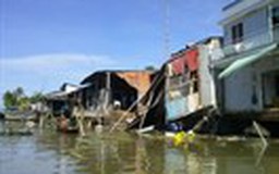 Hậu Giang: Nhiều nhà sụp xuống sông