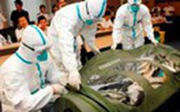 Dịch bệnh Ebola: Nhật sẵn sàng cung cấp thuốc thử nghiệm