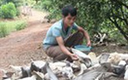 Tự tạo cơ hội - Kỳ 55: Cử nhân về quê nuôi bồ câu, gà đồi