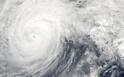 Bão Vongfong ập vào Nhật Bản, ít nhất 1 người mất tích
