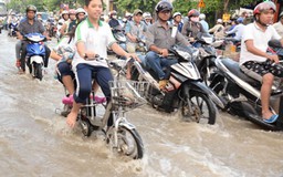 Mời chuyên gia hiến kế chống ngập