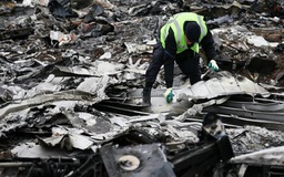 Gia đình nạn nhân MH17 kiện chính phủ Ukraine tội ngộ sát
