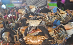 Ngắm thiên đường hải sản ở chợ Hạ Long