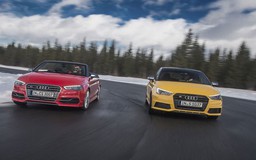 Đánh giá ban đầu về 'bé hạt tiêu' Audi S1 2015