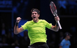 Del Potro giành vé cuối vào bán kết ATP World Tour Finals 2012