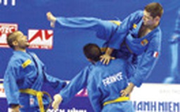 Giải vovinam thế giới lần 3 - 2013 tổ chức tại Pháp