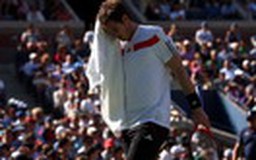 Murray thua giải Mỹ mở rộng vì... Wimbledon