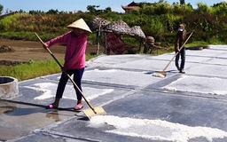 Chang nắng trên đồng muối Châu Hạ