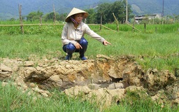 Nghệ An: Ruộng lúa sụt thành 'hố tử thần' ngay trước mắt, giếng khơi đột nhiên hết nước
