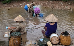 Mưu sinh bên cửa biển Đồ Sơn