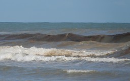 Quảng Ngãi: Biển Khe Hai đột ngột đổi màu đen