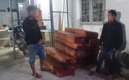 Quảng Ngãi: Bắt 2 người vận chuyển gỗ trái phép
