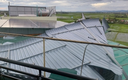 Quảng Ngãi: Bão số 4 Noru quét qua, nhiều nhà bị tốc mái, cây xanh ngã rạp