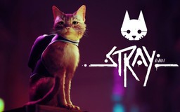 Stray là tựa game không thể bỏ lỡ đối với các game thủ yêu động vật