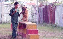 Những người huấn luyện chó cưng ở Sài Gòn và những điều chưa tiết lộ