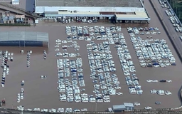 Hàng trăm xe Toyota chưa lăn bánh đã bị ngập nước, nguy cơ thiếu xe để bán