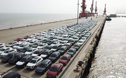 8.000 ô tô xuất khẩu sang Nga đang mắc kẹt tại cảng