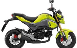 ‘Kén khách’ tại Việt Nam, Honda mang MSX 125 tới Malaysia