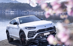 Lamborghini sản xuất 8.000 xe trong năm tới, Urus chiếm phân nửa